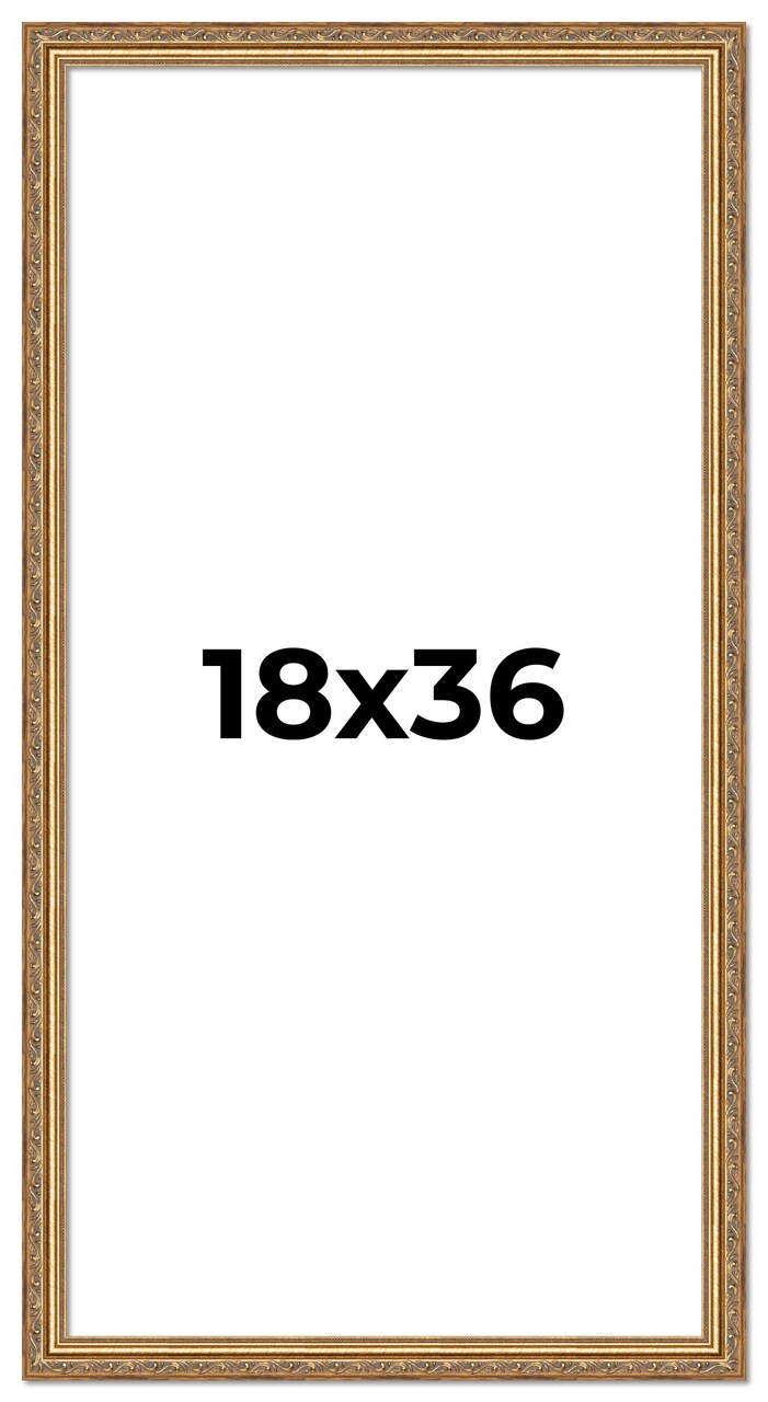 18x36 Museum-Quality Picture Frame with UV-Resistant Acrylic & Acid-Free Backing, Available in 4 Finishes - Gold, Silver, Bronze, and Black